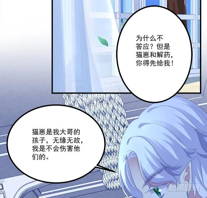 《猫妖的诱惑》血债要血偿！ 第42页