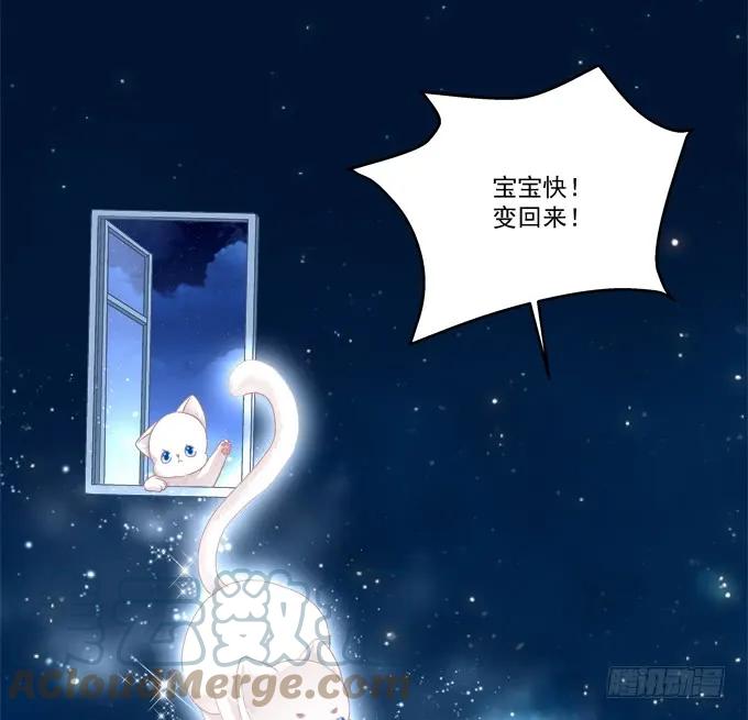 《猫妖的诱惑》妖精！打一架！ 第8页