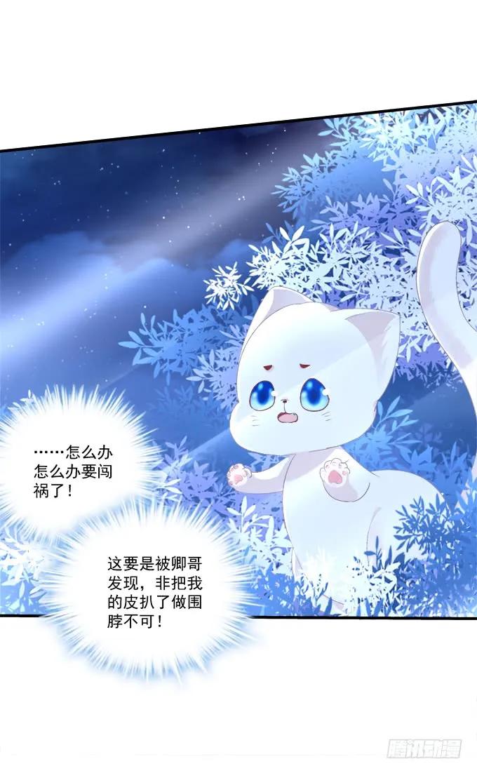 《猫妖的诱惑》妖精！打一架！ 第4页