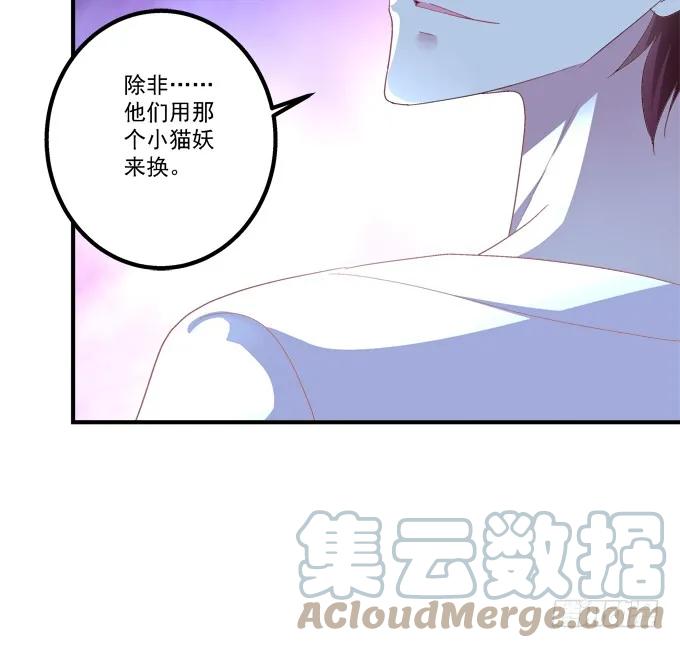 《猫妖的诱惑》妖王趁火打劫！ 第22页