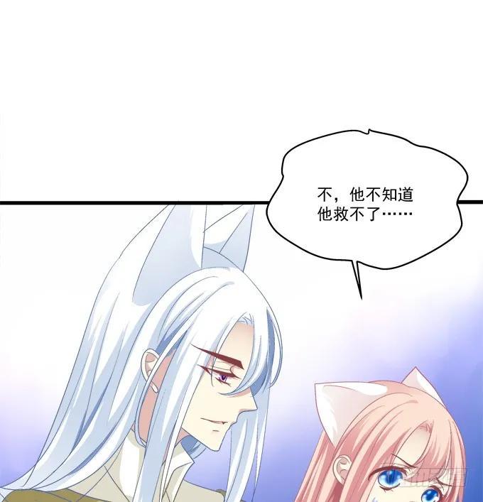 《猫妖的诱惑》妖王趁火打劫！ 第54页