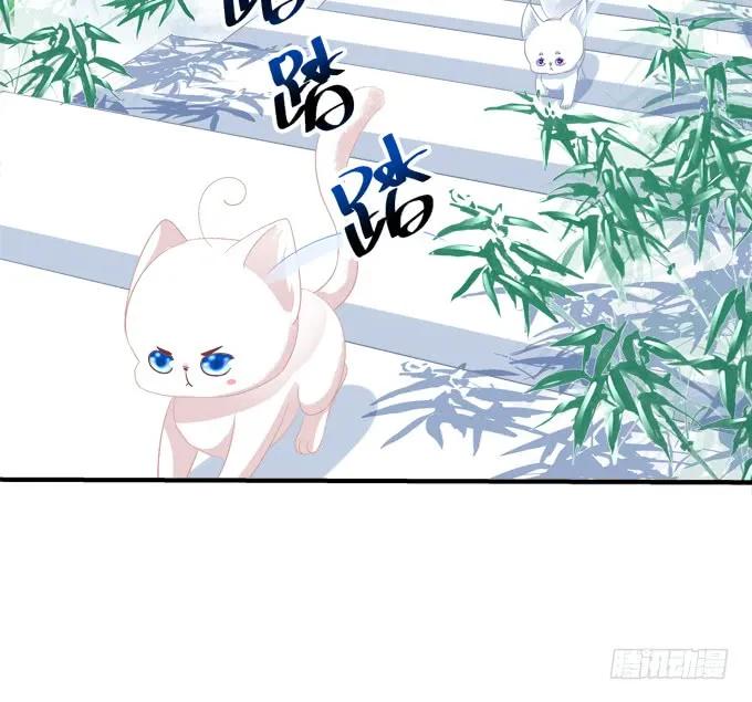 《猫妖的诱惑》跟你狐哥走！ 第54页