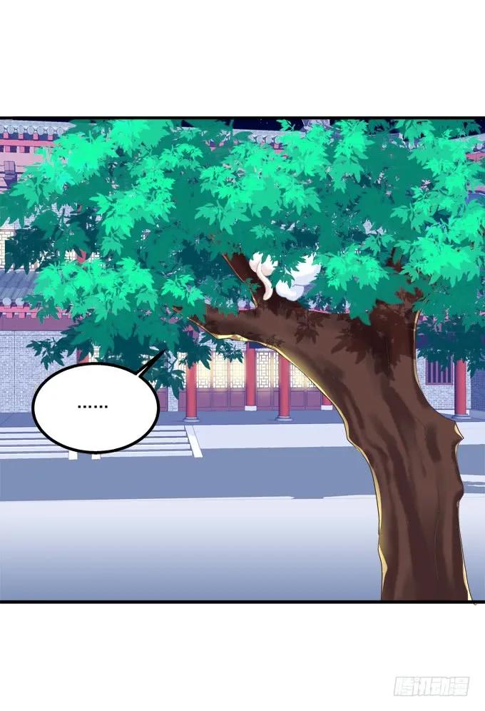 《猫妖的诱惑》重回沈家！ 第15页
