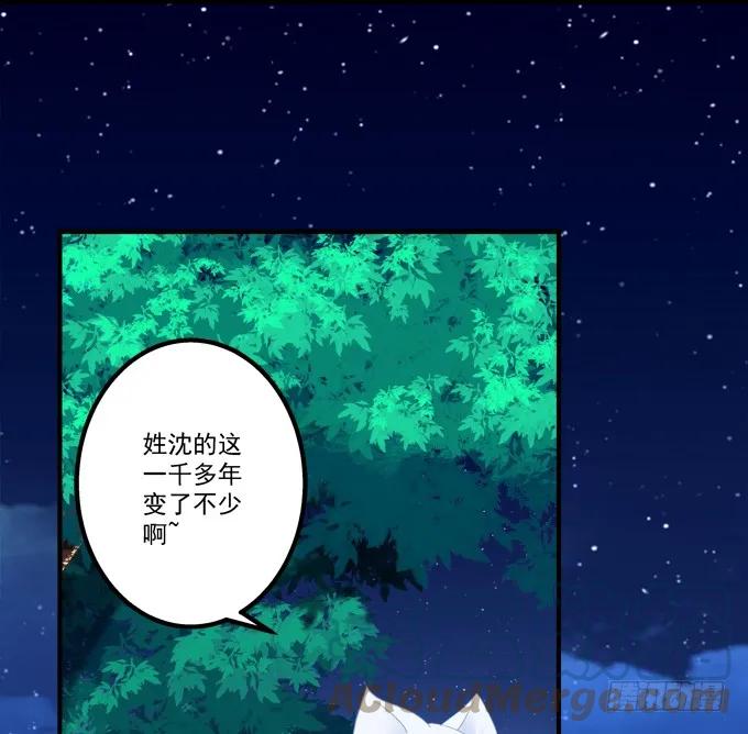 《猫妖的诱惑》重回沈家！ 第37页