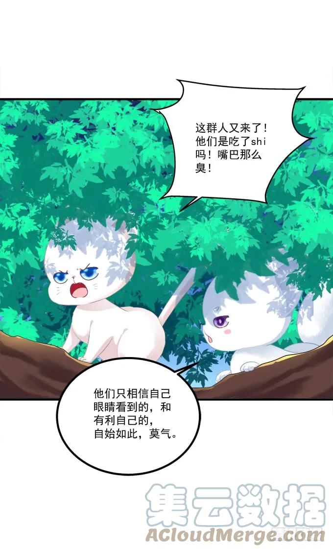 《猫妖的诱惑》重回沈家！ 第16页