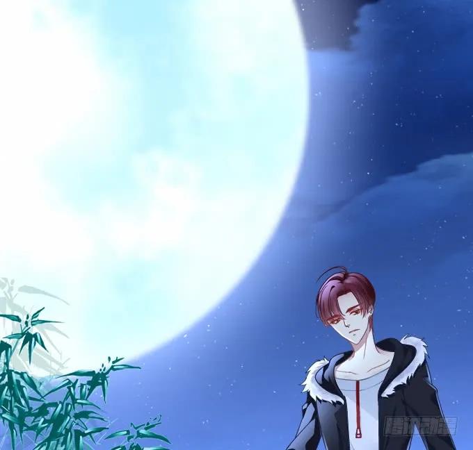 《猫妖的诱惑》重回沈家！ 第6页