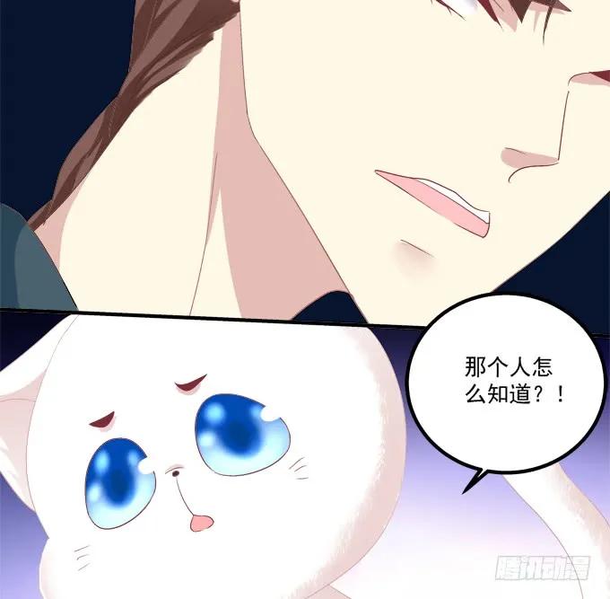 《猫妖的诱惑》真假沈墨卿！ 第39页
