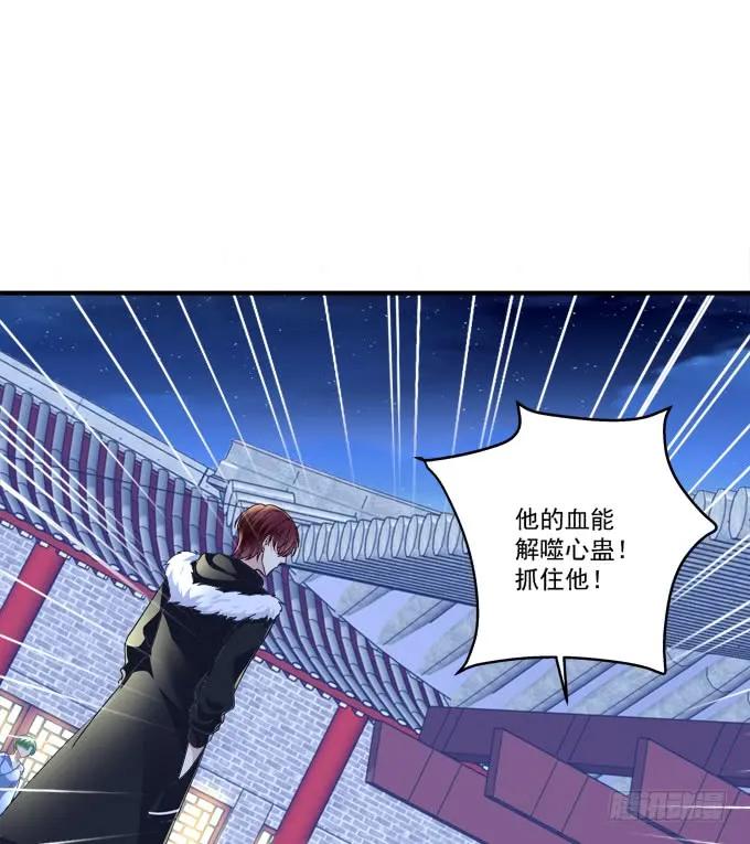 《猫妖的诱惑》真假沈墨卿！ 第36页