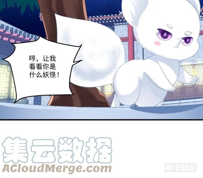 《猫妖的诱惑》真假沈墨卿！ 第52页