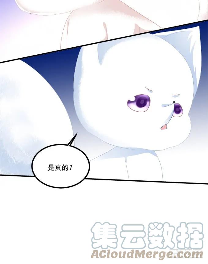 《猫妖的诱惑》真假沈墨卿！ 第40页