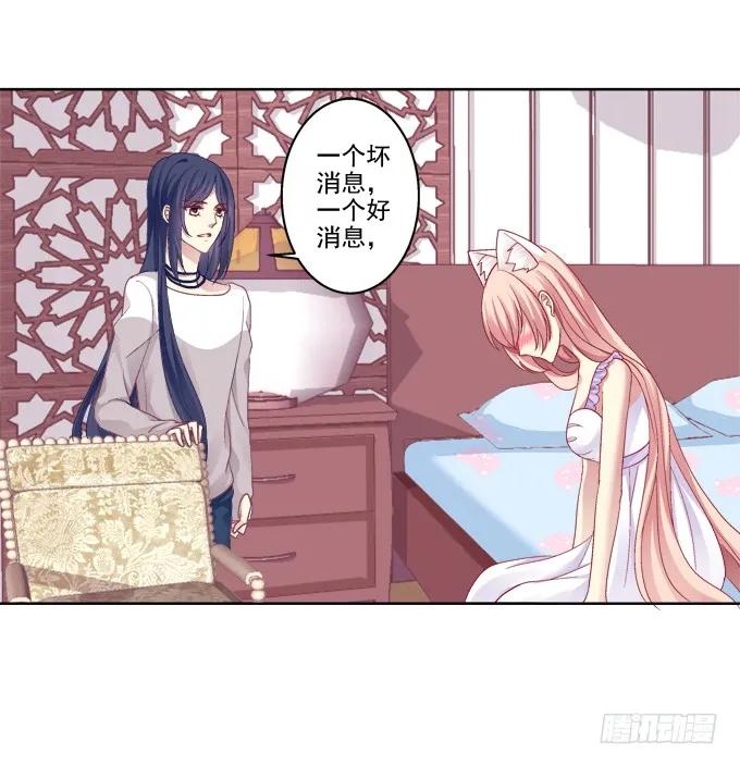 《猫妖的诱惑》双魂二选一 第14页