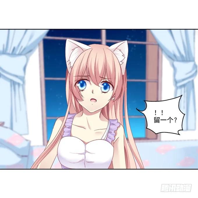 《猫妖的诱惑》双魂二选一 第17页