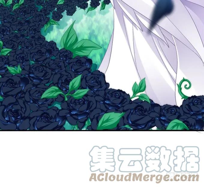 《猫妖的诱惑》兄弟见面！ 第10页