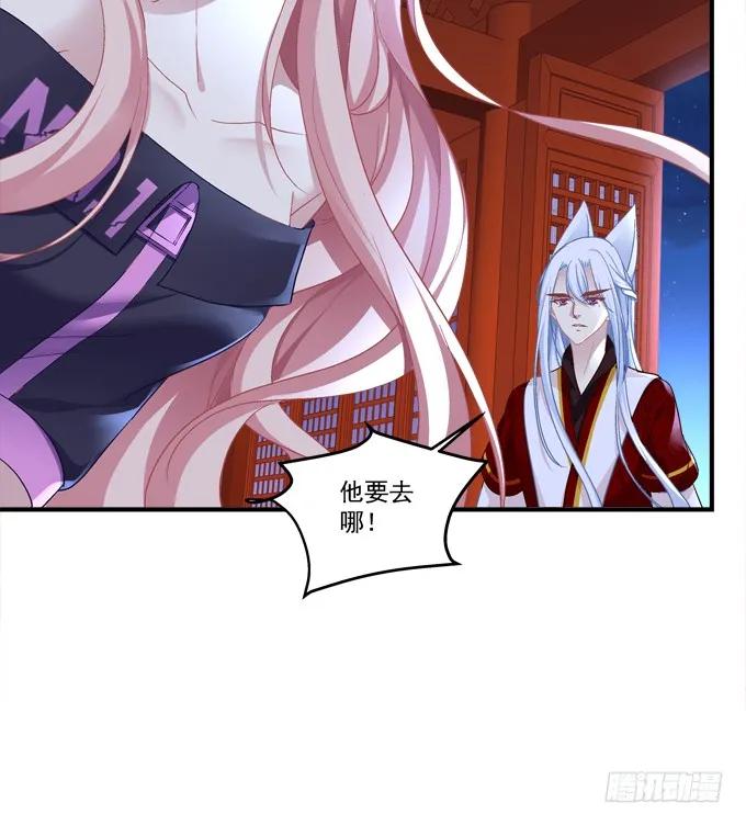 《猫妖的诱惑》兄弟见面！ 第20页