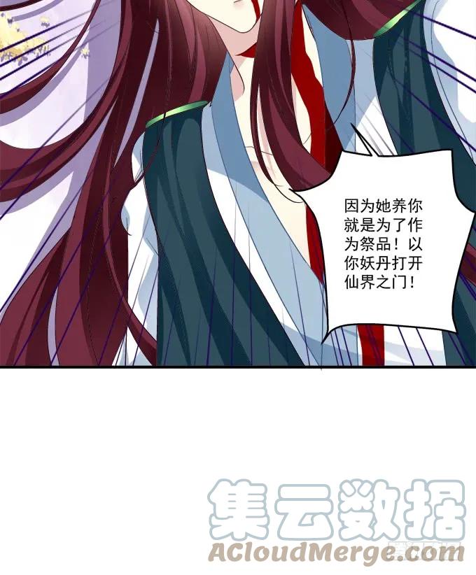 《猫妖的诱惑》让你看清的真相！ 第55页