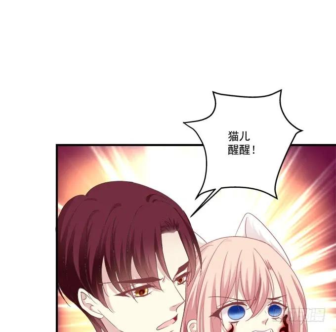 《猫妖的诱惑》生别离！ 第8页