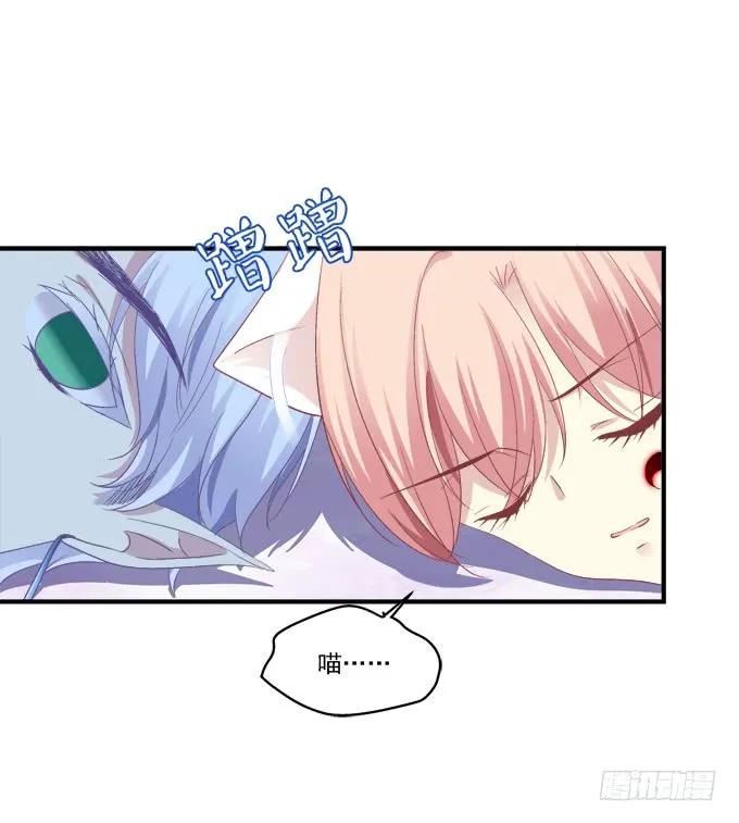 《猫妖的诱惑》你还有我！ 第23页