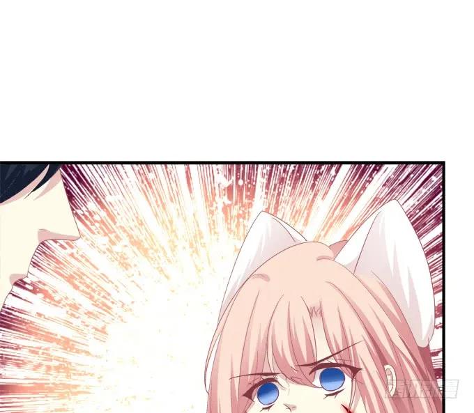 《猫妖的诱惑》你还有我！ 第6页