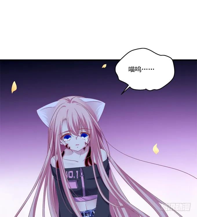 《猫妖的诱惑》你还有我！ 第26页