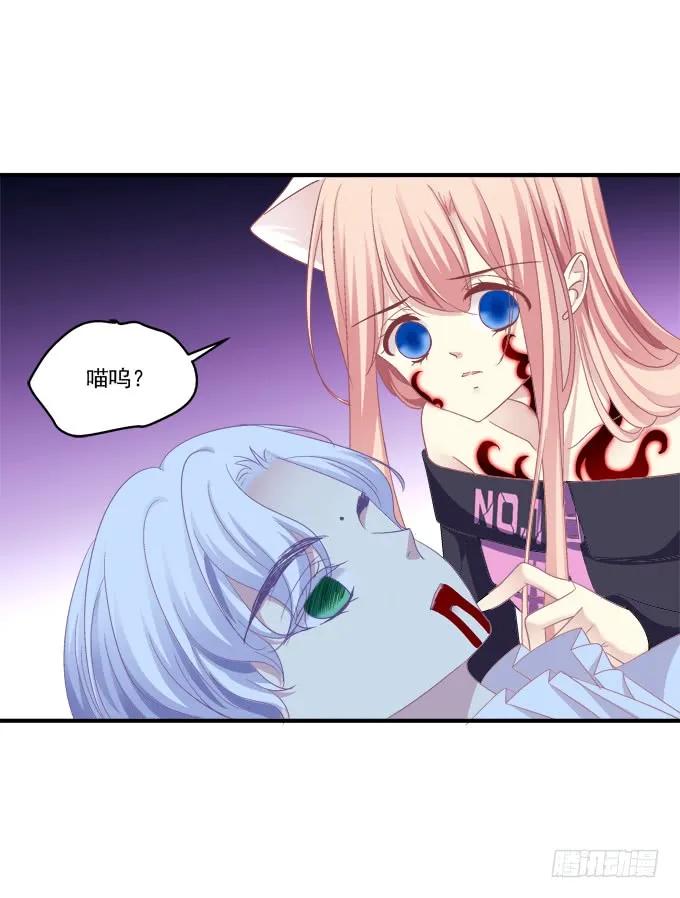 《猫妖的诱惑》你还有我！ 第24页