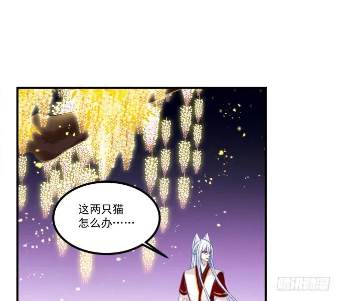 《猫妖的诱惑》你还有我！ 第48页