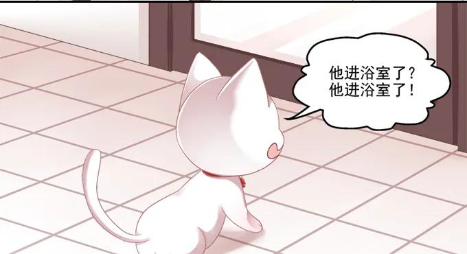 《猫妖的诱惑》你是我的猫 第14页