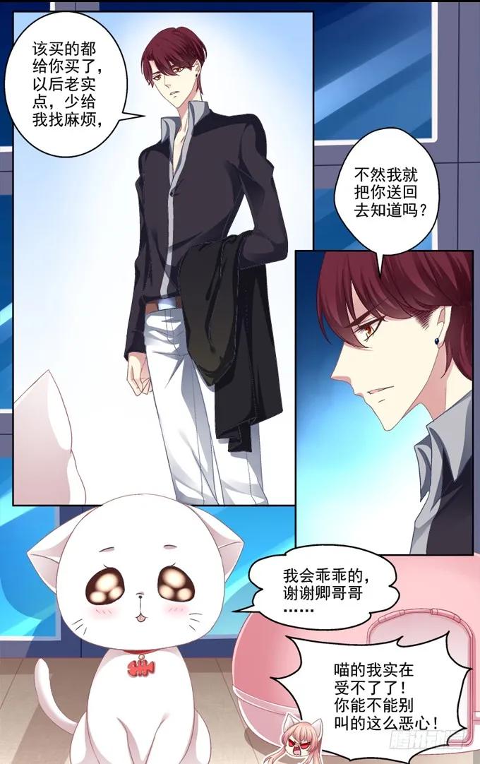 《猫妖的诱惑》你是我的猫 第11页