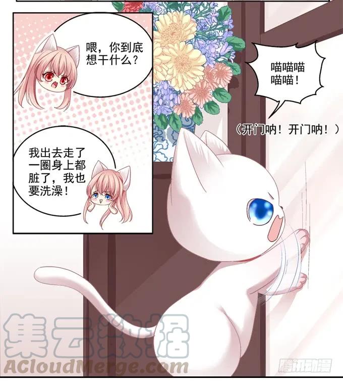 《猫妖的诱惑》你是我的猫 第16页