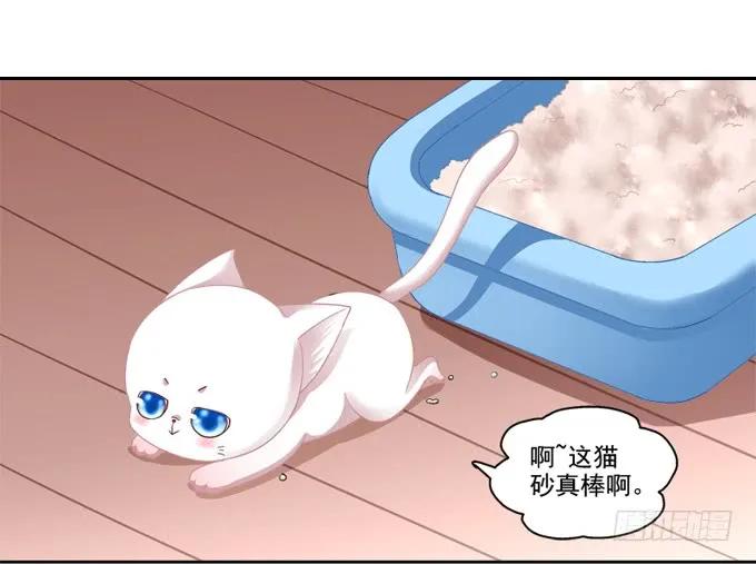 《猫妖的诱惑》你是我的猫 第2页