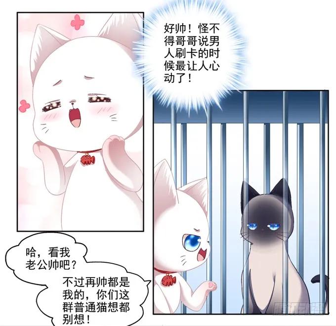 《猫妖的诱惑》你是我的猫 第5页