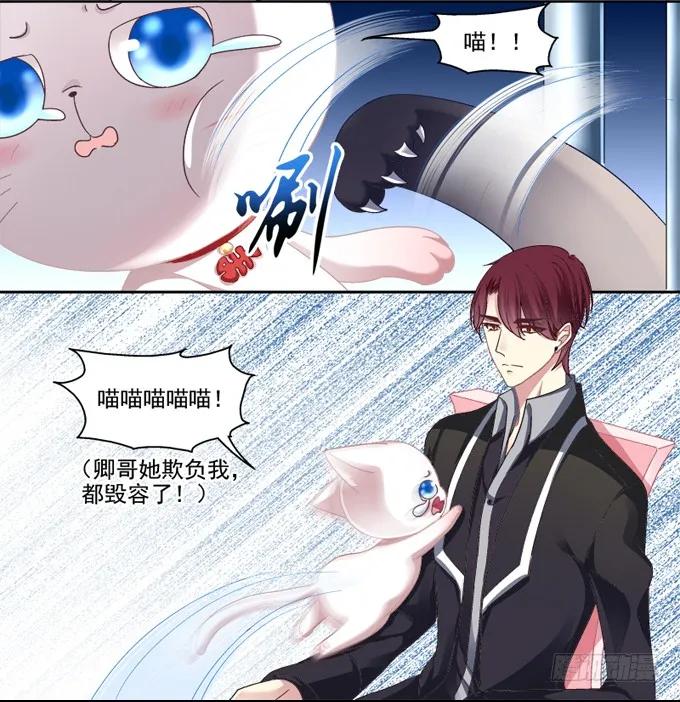 《猫妖的诱惑》你是我的猫 第6页