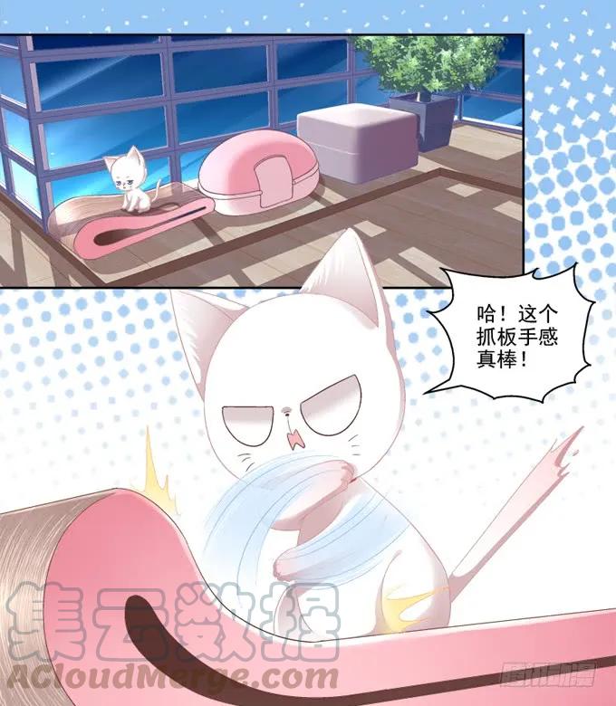 《猫妖的诱惑》你是我的猫 第10页