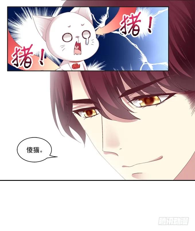 《猫妖的诱惑》你是我的猫 第8页