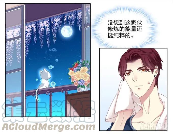 《猫妖的诱惑》你是我的猫 第22页