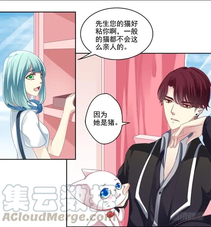 《猫妖的诱惑》你是我的猫 第7页