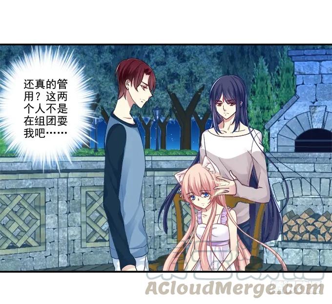 《猫妖的诱惑》前尘往事 第25页