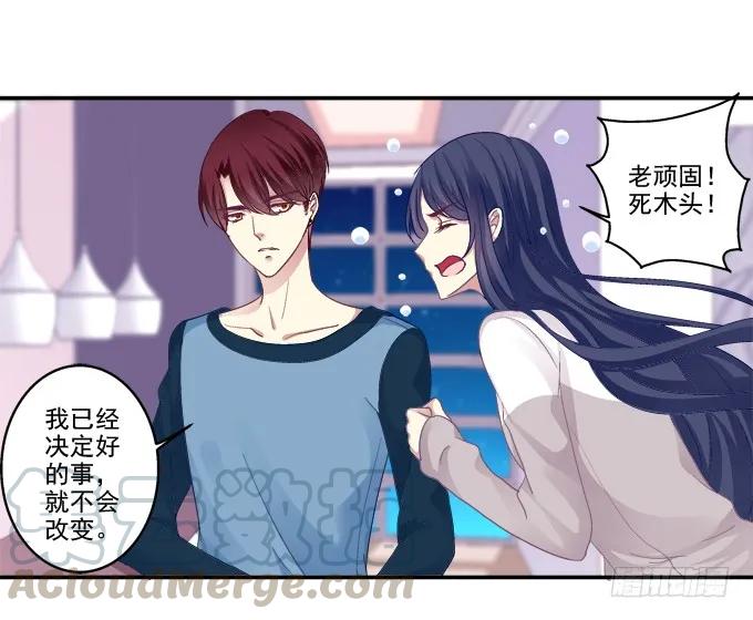 《猫妖的诱惑》前尘往事 第7页