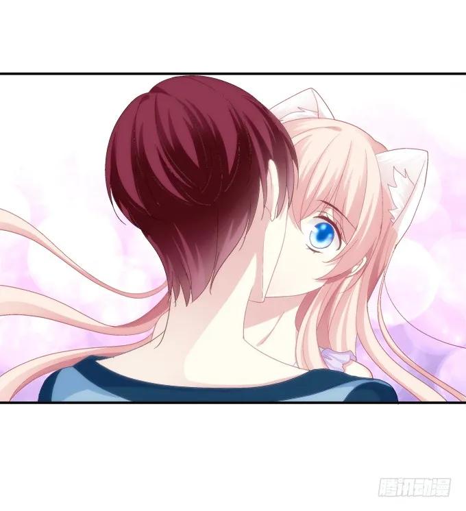 《猫妖的诱惑》前尘往事 第23页