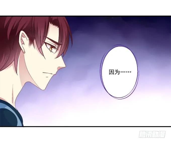 《猫妖的诱惑》前尘往事 第5页