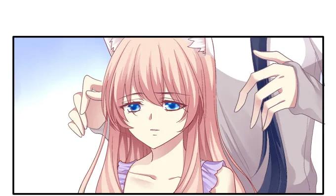 《猫妖的诱惑》前尘往事 第26页