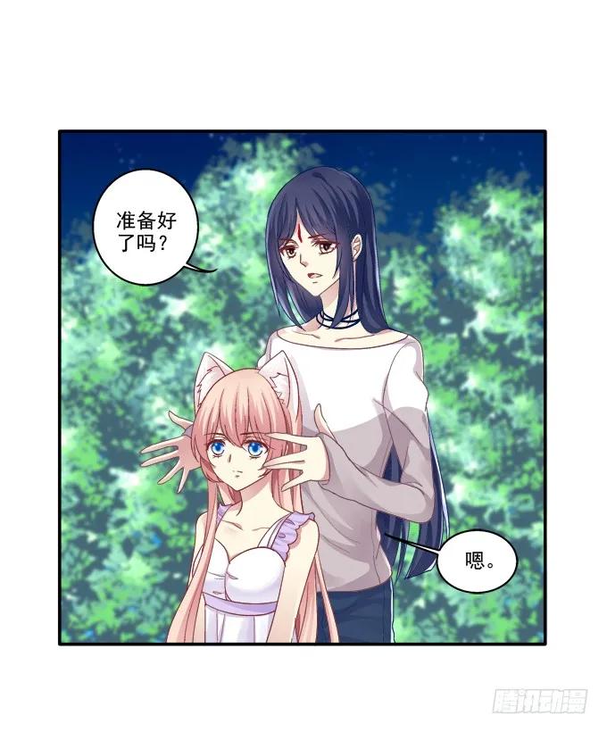 《猫妖的诱惑》前尘往事 第12页