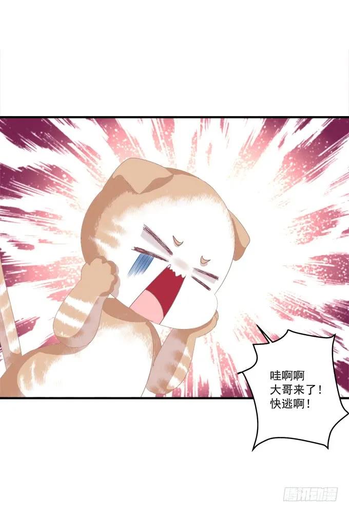 《猫妖的诱惑》完成你的心愿！ 第48页