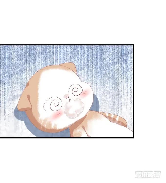 《猫妖的诱惑》完成你的心愿！ 第50页