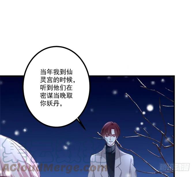 《猫妖的诱惑》迟来的礼物！ 第37页