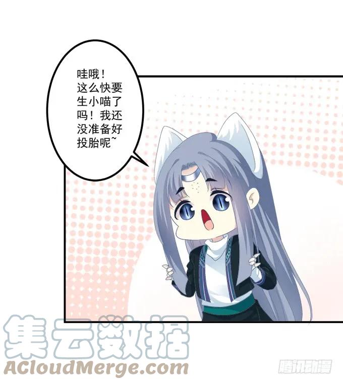 《猫妖的诱惑》给我一个机会永远爱你! 第13页