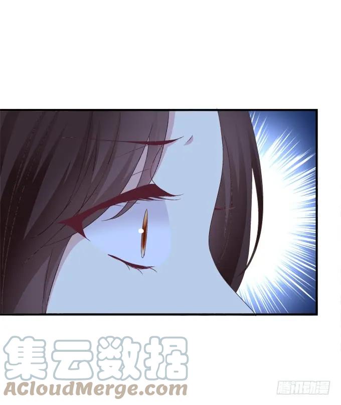 《猫妖的诱惑》浮出水面的刺！ 第34页