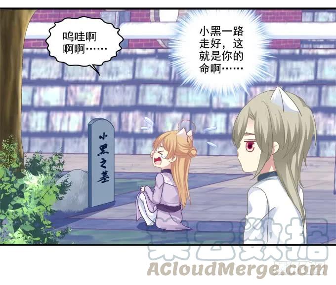 《猫妖的诱惑》一见钟情 第25页