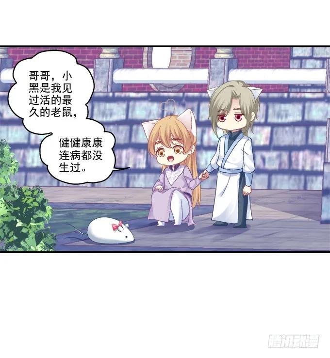 《猫妖的诱惑》一见钟情 第24页
