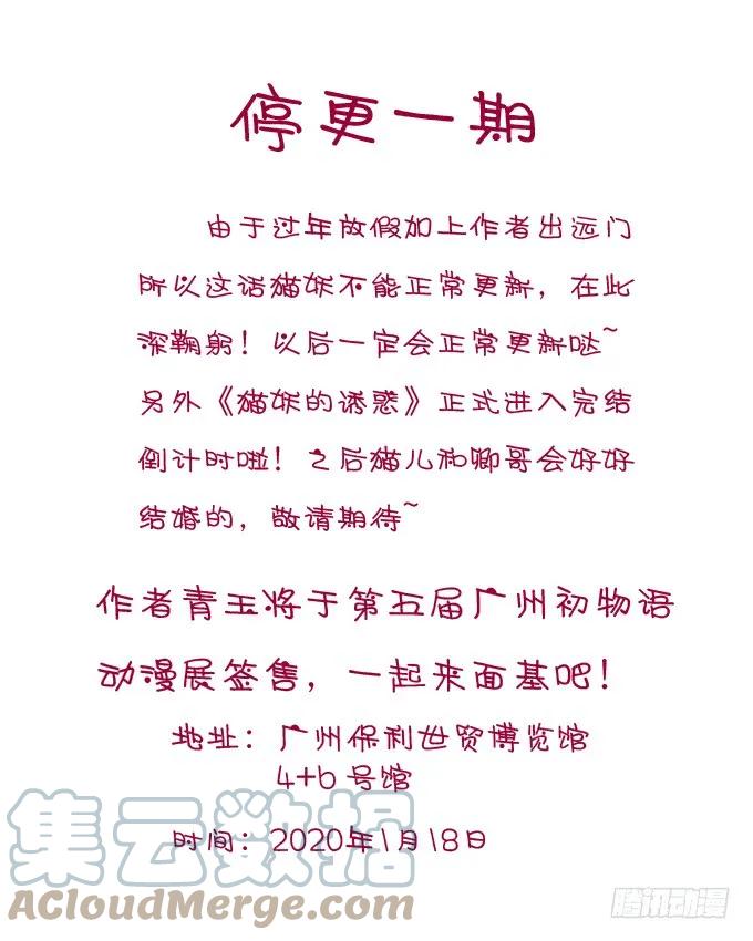 《猫妖的诱惑》停更加签售通知（免费章节） 第1页