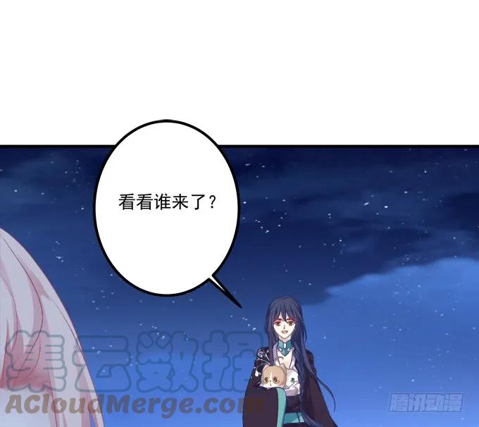 《猫妖的诱惑》再见了，哥哥们！ 第37页
